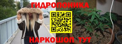 ПСИЛОЦИБИНОВЫЕ ГРИБЫ Абакан