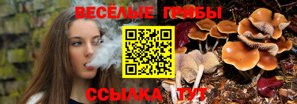Галлюциногенные грибы GOLDEN TEACHER Алексеевка